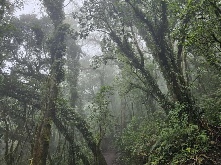 2-day tour from Antigua 1 night in Acatenango Volcano - Who should book this Acatenango overnight?