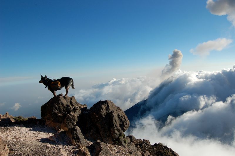 Acatenango Volcano 2-Day Hike - Day two: the 45-minute summit push