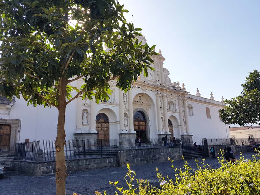 Antigua Guatemala: Morning Tour from Guatemala City - El Carmen ruins and the craft market