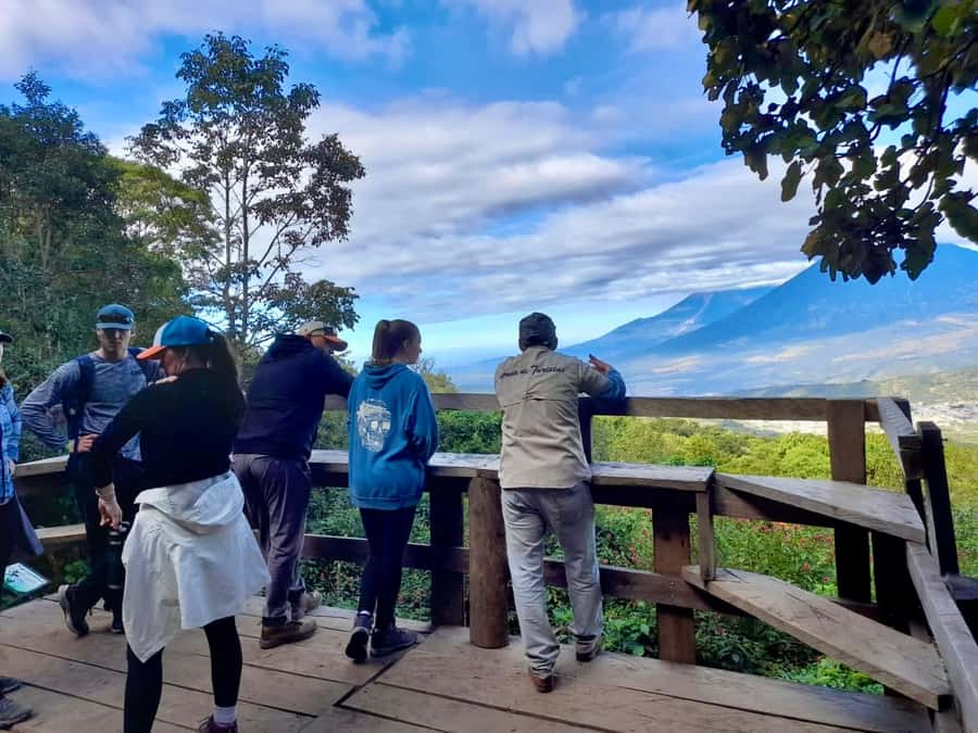 Antigua Guatemala: Private Day Tour to Pacaya Volcano - The first steep section of Pacaya