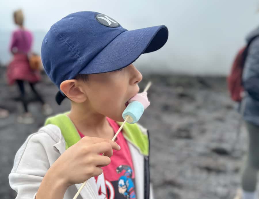 Antigua: Marshmallows Roasting at Pacaya Volcano 6-hour Tour - Key points to know before you book