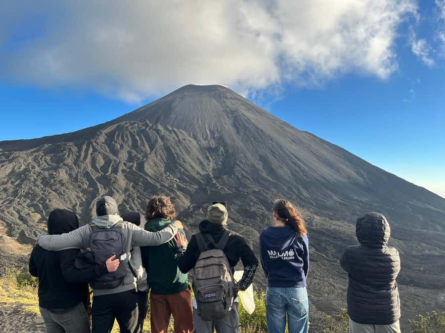 Antigua: Marshmallows Roasting at Pacaya Volcano 6-hour Tour - What the $29 price covers, and what it does not