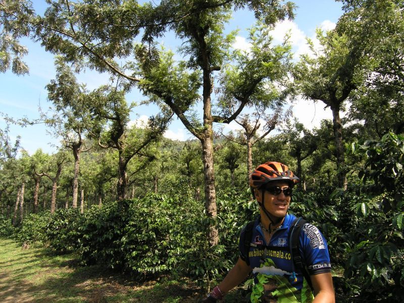 Antigua Sip 'n Cycle Half-Day Bike Ride and Coffee Tour - Who will enjoy this half-day outing?