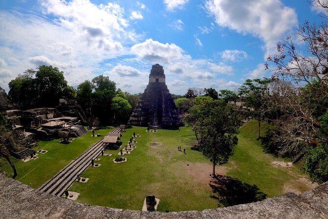 Basic Tour to Tikal Includes Transportation and Guide Service - Why this Flores to Tikal trip can be good value