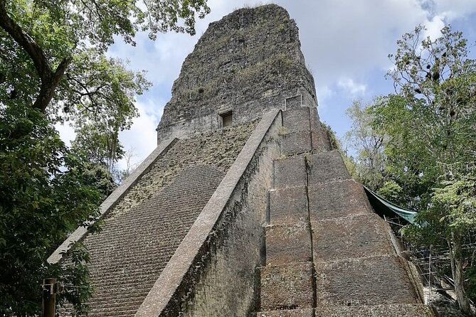 Basic Tour to Tikal Includes Transportation and Guide Service - Climbing Temple IV for the jungle view