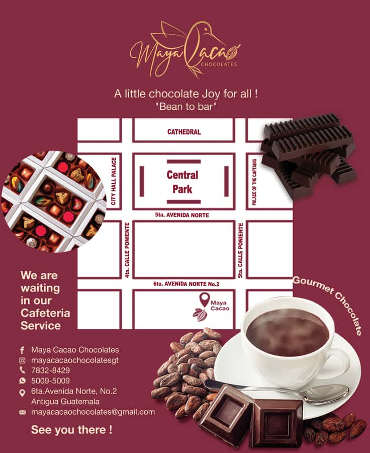 Chocolate workshop; gastronomic experience of cocoa. - Molding the bar and taking it home