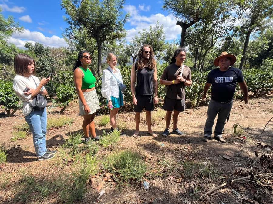 Coffee farm experience - From Antigua to the coffee fields near Ciudad Vieja