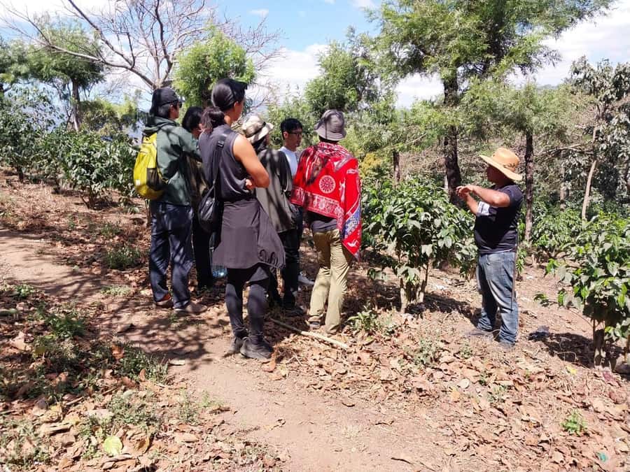 Coffee farm experience - The real value of the $55 price