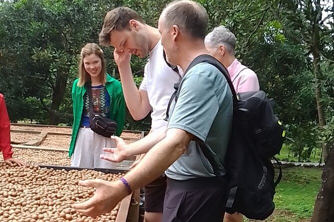 Coffee & Macadamia Fincas Tour - Valhalla Experimental Station and the macadamia story