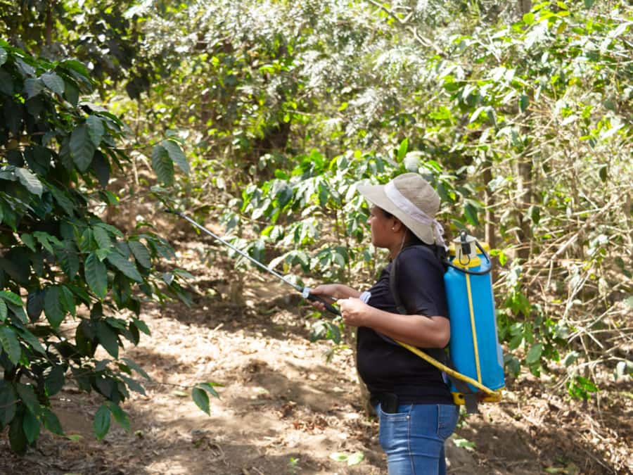 Coffee Tour in Antigua Guatemala - From Antigua to the Rivera family farm
