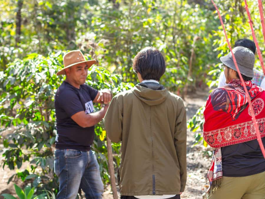 Coffee Tour in Antigua Guatemala - Who will get the most from this morning