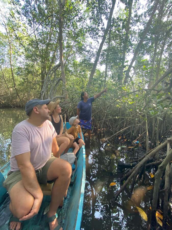 El Paredón: Mangrove Boat Tour with Optional Fishing - Planting a Mangrove Tree