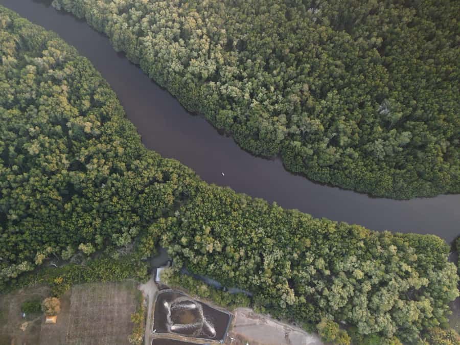 El Paredón: Mangrove Boat Tour with Optional Fishing - Trying Traditional Fishing at No Extra Cost
