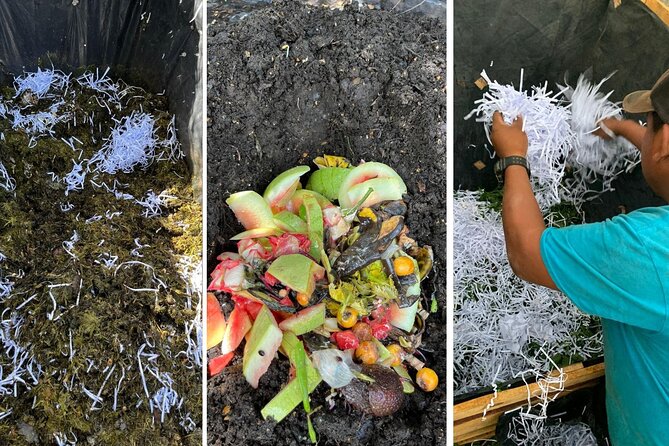 Experience: Organic Coffee, Avocados, Honey & More! - Bees, honey, and the small creatures that keep farms going