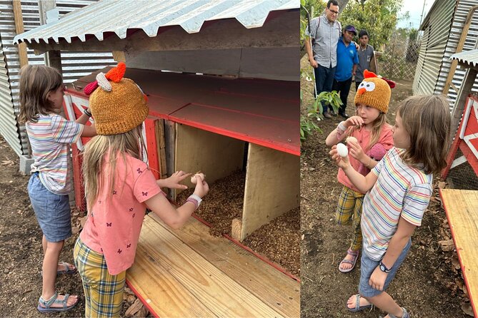 Experience: Organic Coffee, Avocados, Honey & More! - Picking coffee and making your own cup