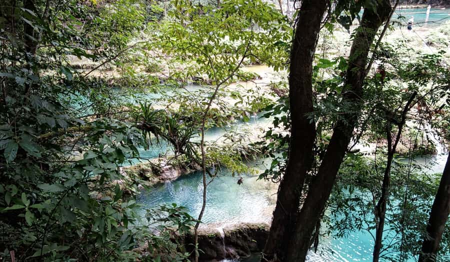 From Antigua: 3-Day Cobán & Semuc Champey Tour - Day one: the forest trails of El Biotopo del Quetzal