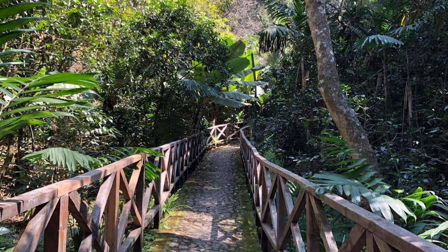 From Antigua Guatemala: Birdwatching and Scenic Hiking Tour - Key things to know before you book