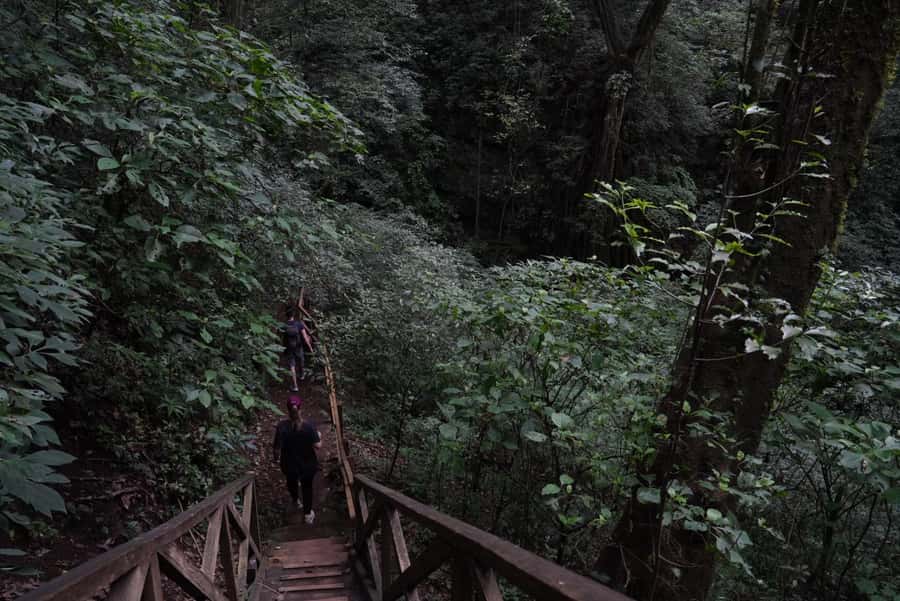 From Antigua Guatemala: Birdwatching and Scenic Hiking Tour - Who should book this Finca El Pilar outing?