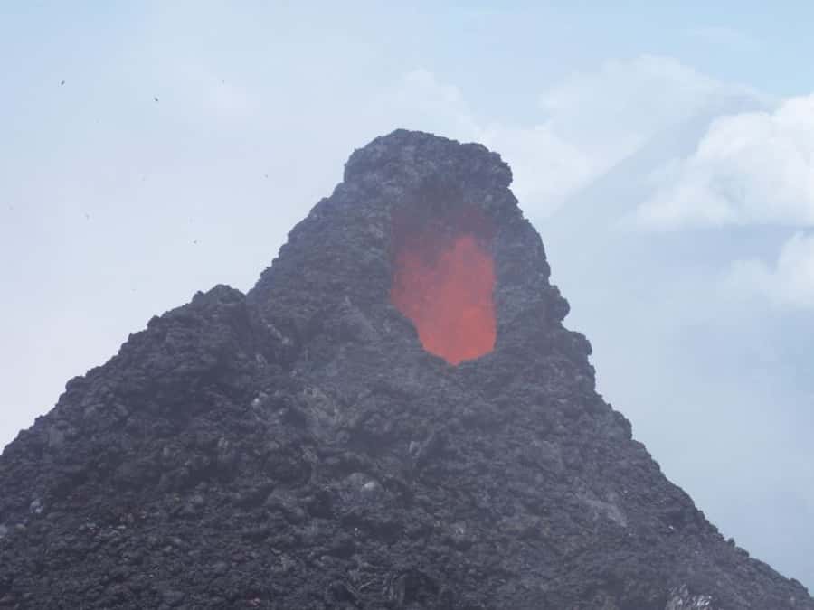 From Antigua: Pacaya Volcano Day Hike - Hot vents, toasted marshmallows, and the smoking cone