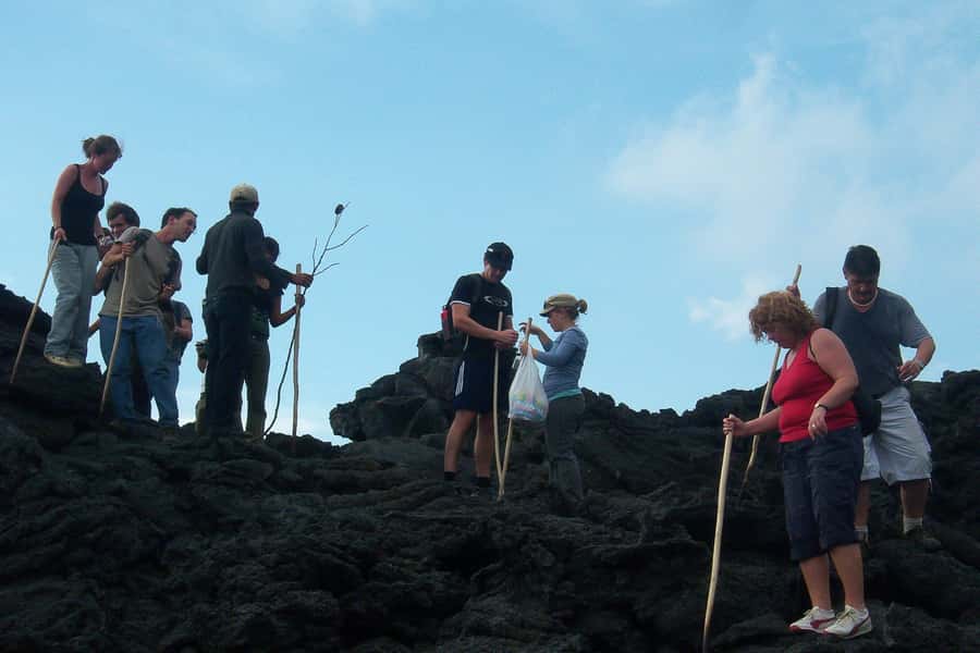 From Antigua: Pacaya Volcano Trek - Steam, sulfur, and the view near the cone