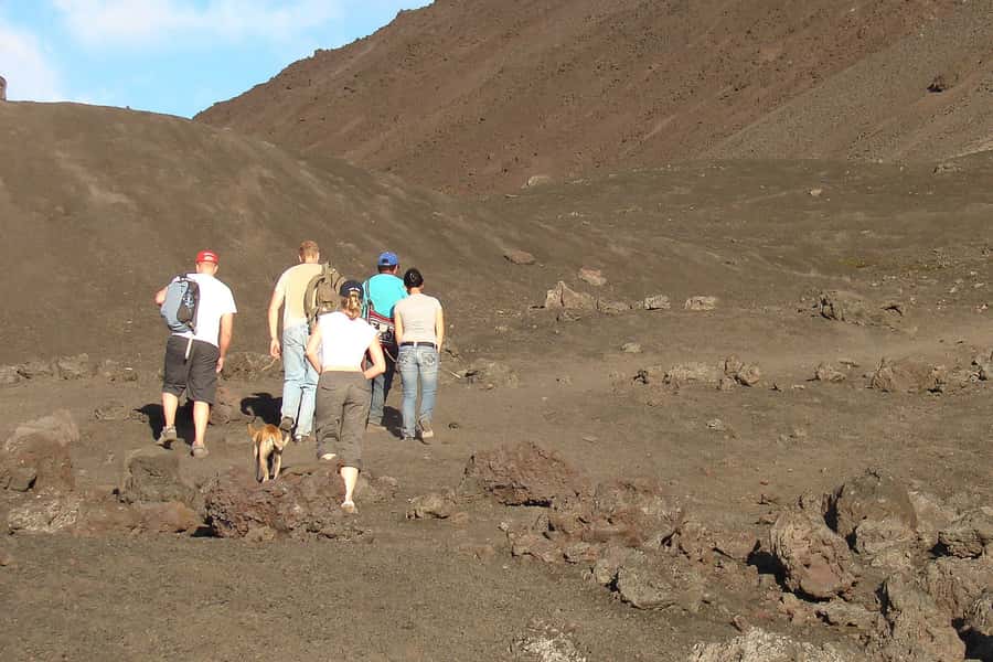 From Antigua: Pacaya Volcano Trek - A pine-forest start with a steady uphill grade