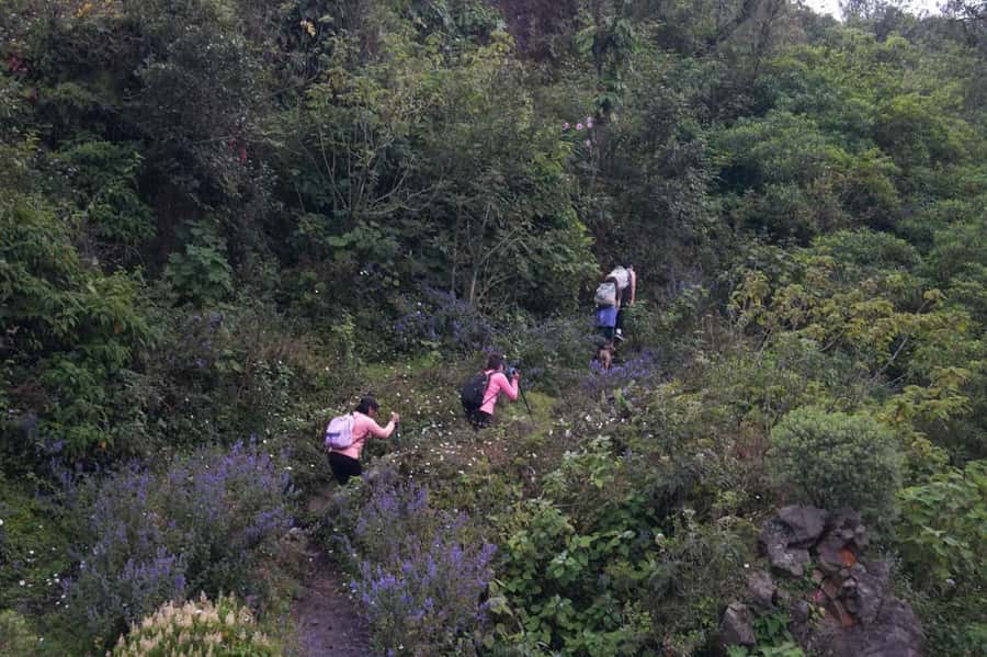 From Antigua to Pacaya Private Tour - Starting from Antigua or Guatemala City