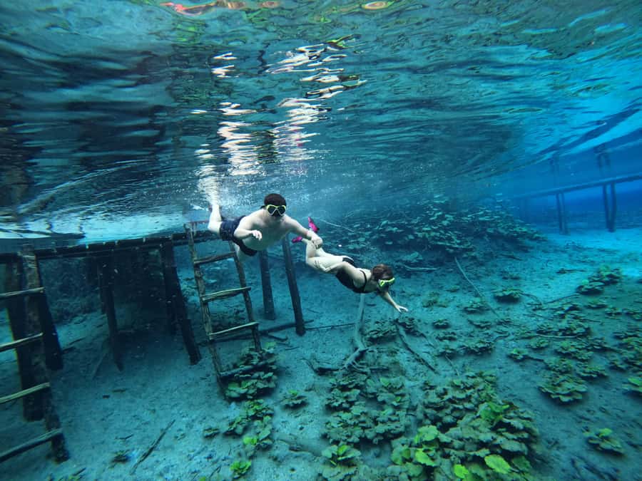 From Flores: Blue Crater Adventure All Inclusive - Key points to know before booking