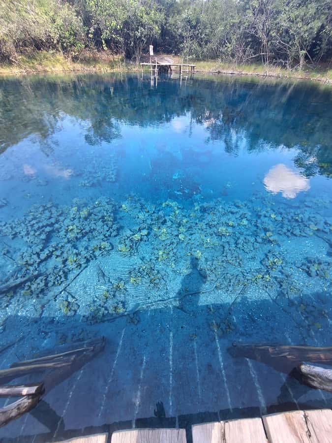 From Flores: Blue Crater Adventure All Inclusive - Why Cráter Azul is worth the long ride