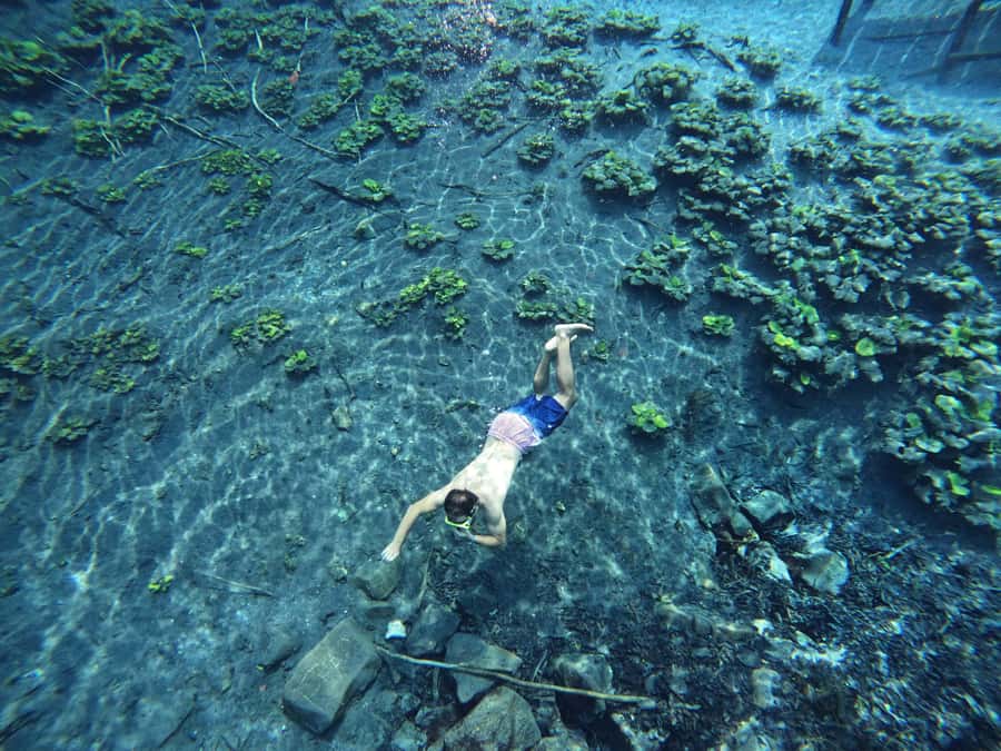 From Flores: Blue Crater Adventure All Inclusive - Two and a half hours at Cráter Azul