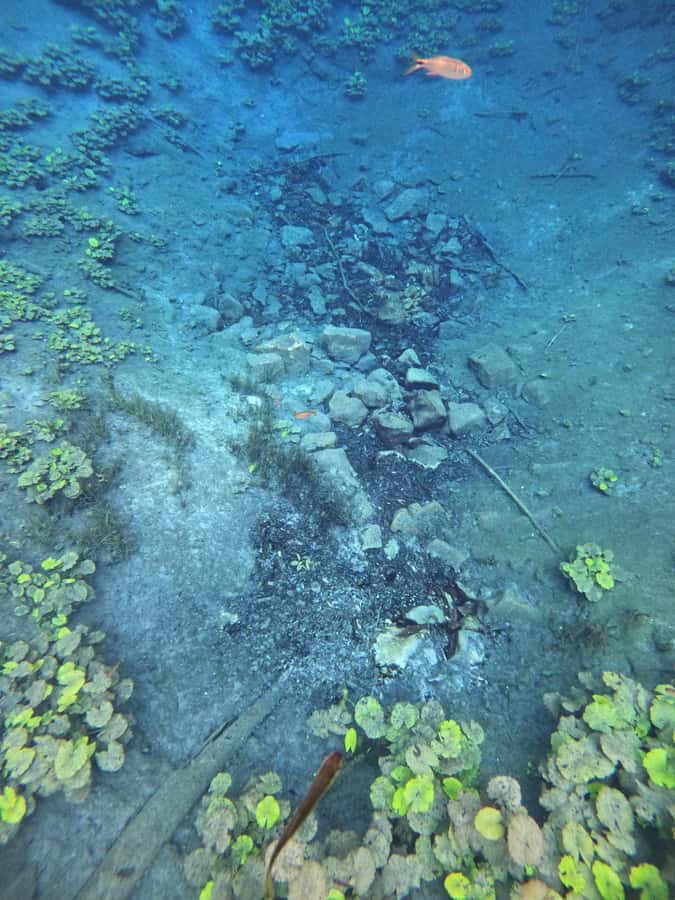 From Flores: Blue Crater Adventure All Inclusive - A second swim at the Blue Cave