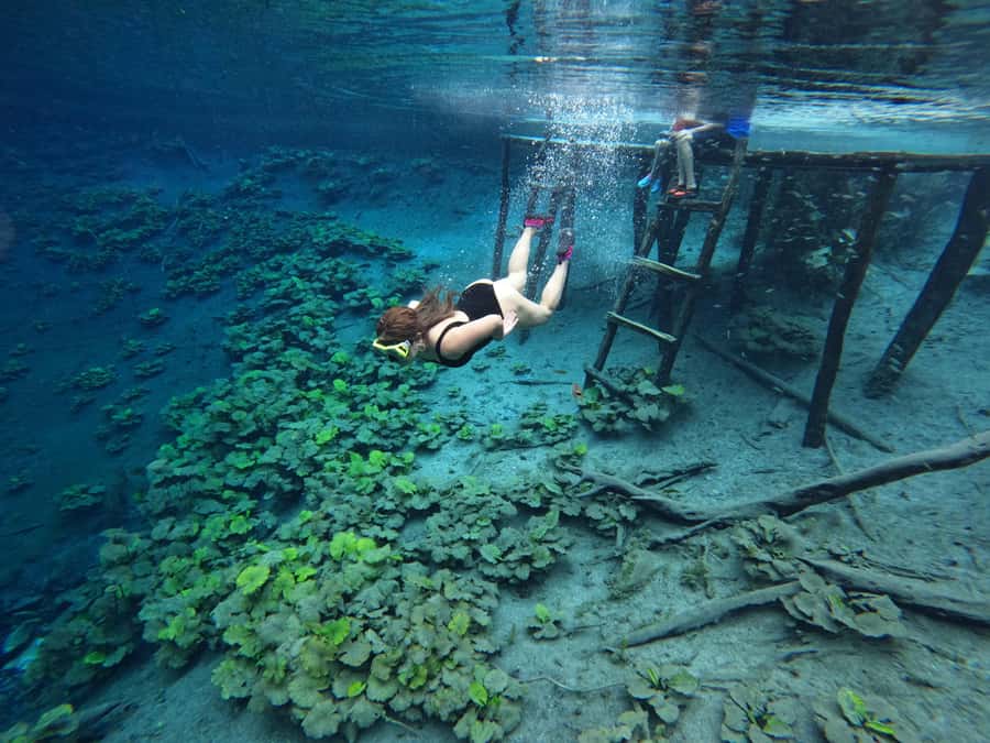 From Flores: Blue Crater Adventure All Inclusive - The 8 a.m. departure from Flores