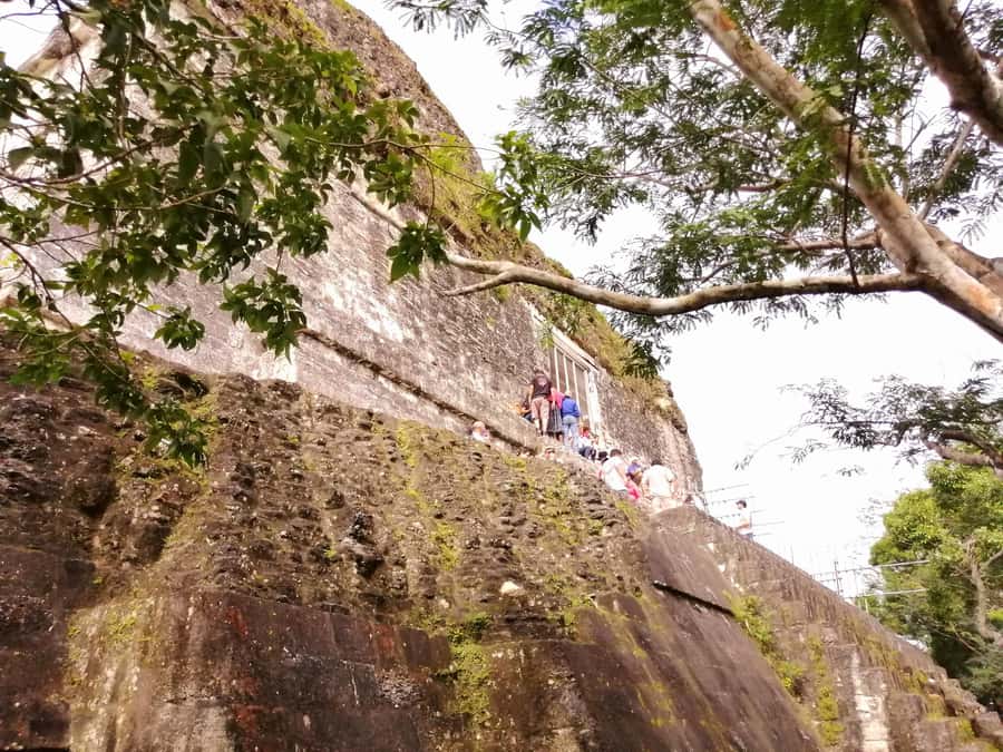 From Flores: Guided Tour to the Ruins of Tikal - Key points at a glance