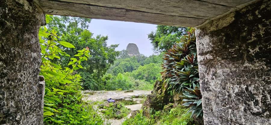 From Flores Guided Tour to Tikal with transportation + lunch - Transport from Flores, El Remate, and the airport