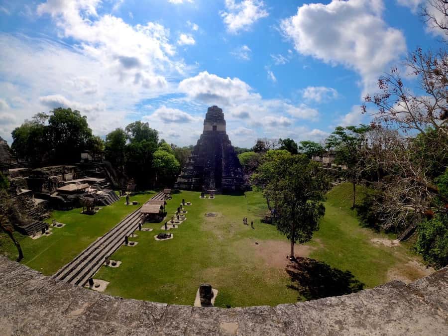From Flores: Tikal Guided Tour with Transportation - Wildlife, shade, and jungle conditions