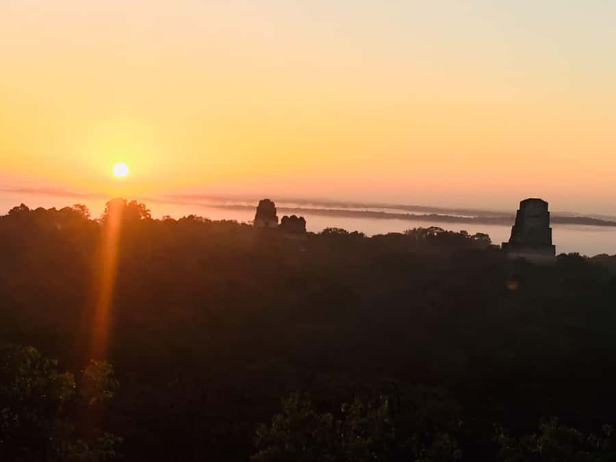 From Flores: Tikal Guided Tour with Transportation - The visitor center, food, and free time
