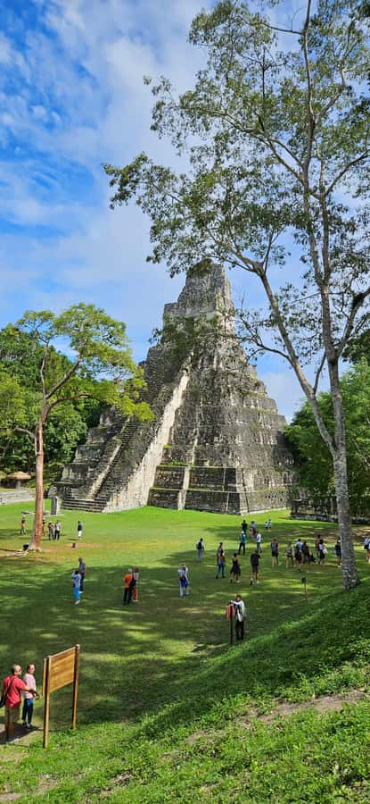 From Flores: Tikal National Park All Inclusive - The 90-minute ride toward the ruins