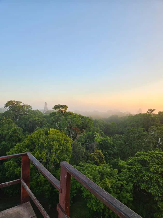 From Flores: Tikal National Park All Inclusive - Meeting in Flores or at Mundo Maya Airport