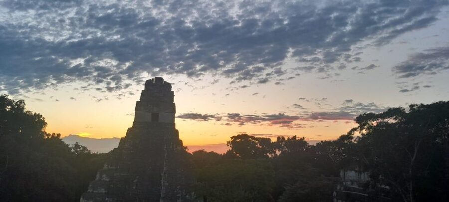 From Flores: Tikal Sunrise Archaeological Tour - Free time at the visitor center