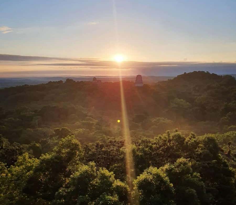 From Flores: Tikal Sunrise Extended Private Tour - Why Tikal Sunrise Starts at 3:00 am