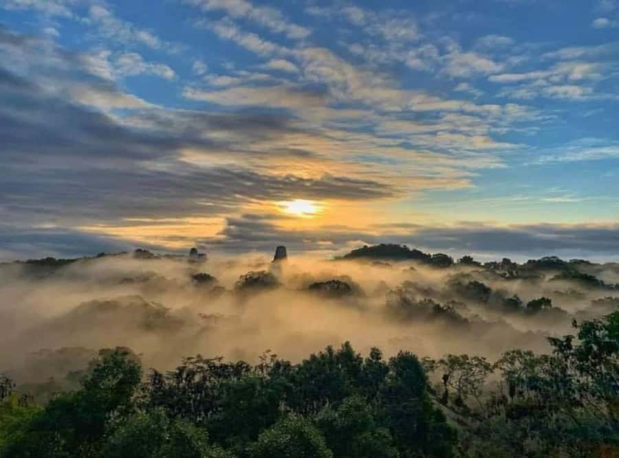 From Flores: Tikal Sunrise Extended Private Tour - Sunrise From Temple IV