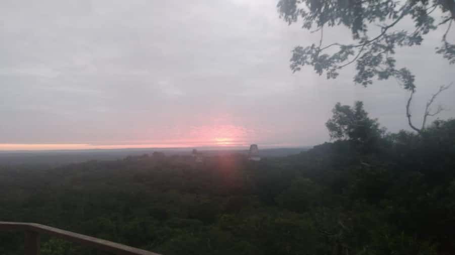 From Flores: Tikal Sunset Tour - Climbing Mundo Perdido for sunset