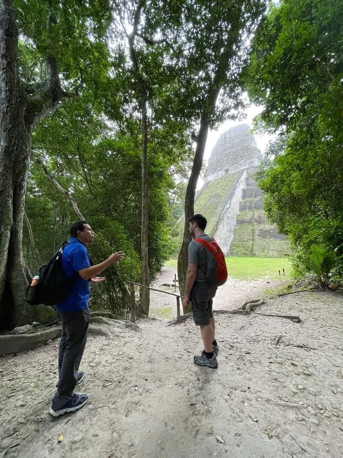 From Flores: Tikal VIP Exclusive cultural Tour All inclusive - From Flores to the forest of Tikal