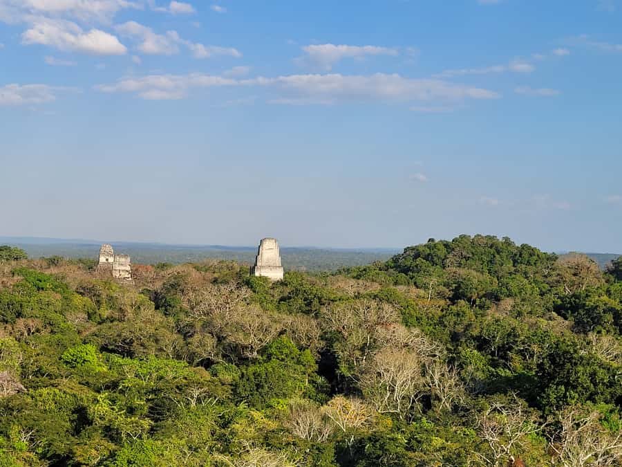 From Flores: Tikal VIP Exclusive cultural Tour All inclusive - What the day feels like in practice
