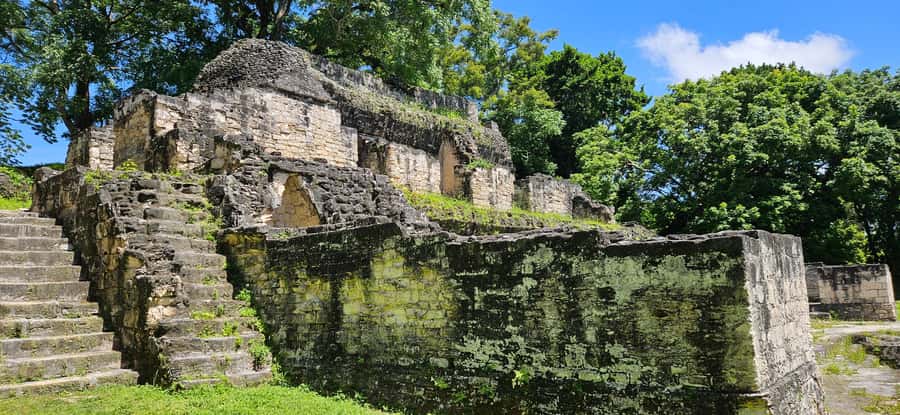 From Flores: Tour Tikal All Inclusive - Why Tikal is worth a full morning