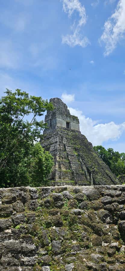 From Flores: Tour Tikal All Inclusive - The 90-minute road to the ruins