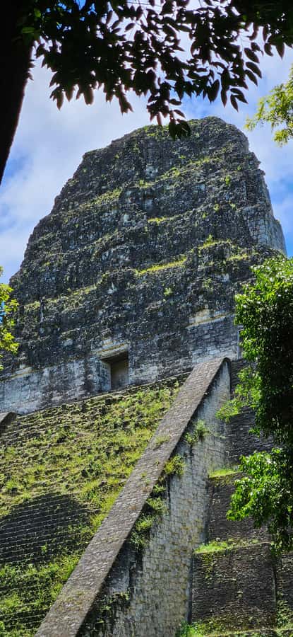From Flores: Tour Tikal All Inclusive - Who will like this Tikal tour