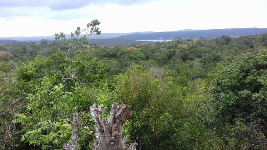 From Flores: Yaxha Ruins Guided Tour - Why Yaxha works so well at sunset