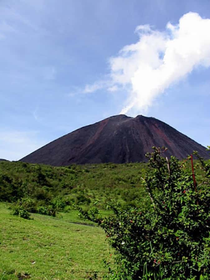 From Guatemala City or Antigua: Pacaya Volcano Day Tour - Choosing between walking and riding a horse