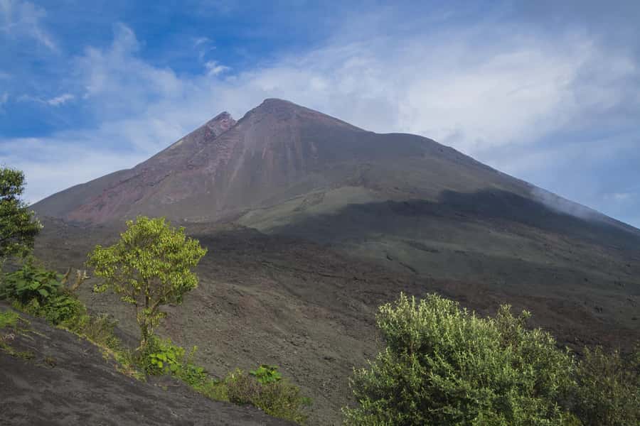 From Guatemala City or Antigua: Pacaya Volcano Day Tour - The first steps through forest and volcanic sand