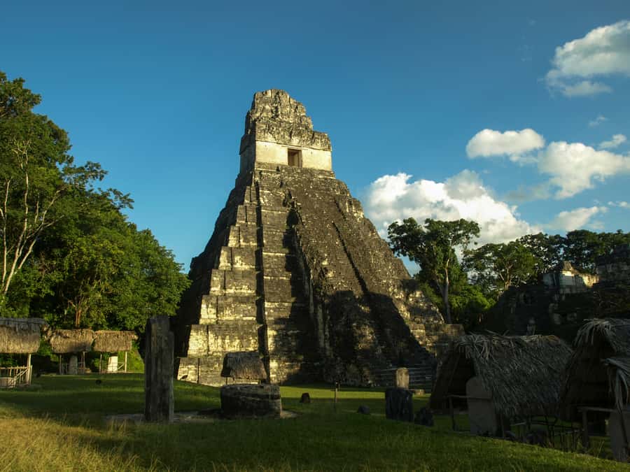 From San Ignacio: Tikal Maya Site Day-Trip with Local Lunch - What the $145 price includes